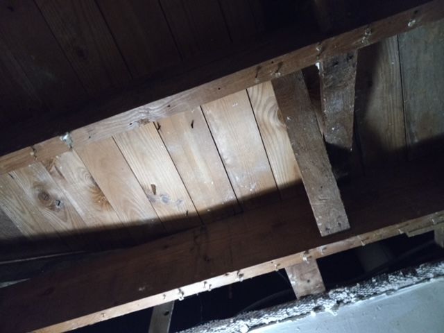 Photograph of the ceiling deterioration in Sam’s Stephen Crane unit.